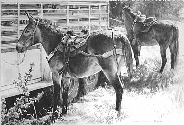 On Standby - Mules by Amy Larson