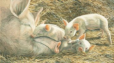 Family Ties - Pigs by Fiona Goulding