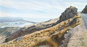 Morning Shadows, Port Hills - Landscape - Port Hills, Christchurch, New Zealand by Fiona Goulding