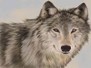 Timber - Timber Wolf by Lyn Vik