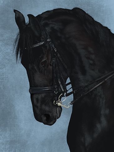 Warrior - Equestrian by Lyn Vik
