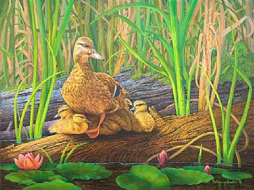 Instinct - wildlife, mallard ducks by Patricia Banks