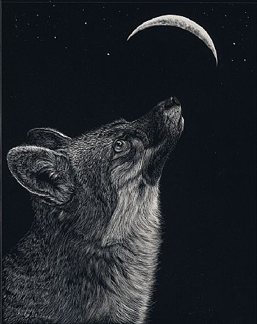Lunar Eclipse - Red Fox by Judy Studwell