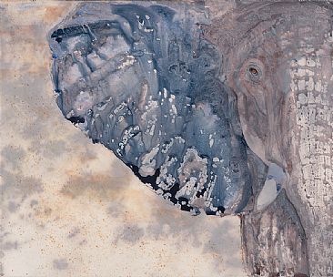 Face to Face - African Elephant by Judy Studwell