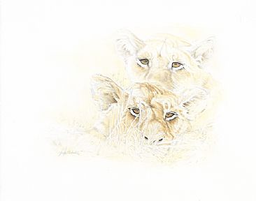 Hidden  - Lion Cubs by Judy Studwell