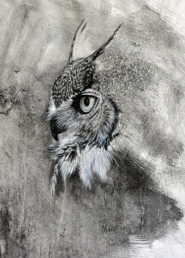 Thoughts - Great Horned Owl by Linda Harrison-Parsons
