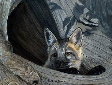 Cautious Appearance - Red Fox Kit - Red fox by Caroline Brooks