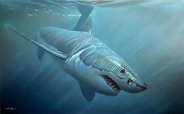 Beyond The Break - Great White Shark by Jerry Ragg