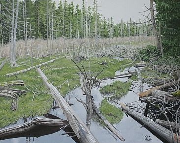 Boneyard - Skeletal deadfalls created an interesting contrast to the living marsh. by Ken  Nash