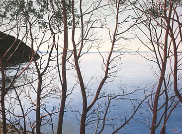 Through the Arbutus - Looking through Arbutus branches on a quiet coastal afternoon. by Ken  Nash
