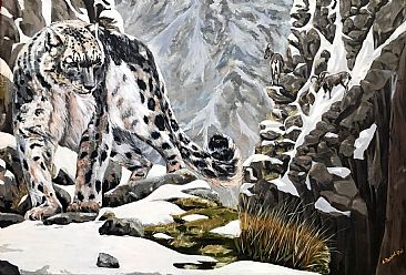 ellusive Hunter - Snow leopard by Ajoy Rai