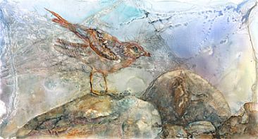 Gull on Rocks -  by Katherine Weber