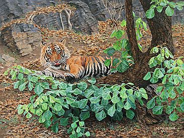 Tiger's Lounge - Bengal Tiger by Chirag Thumbar