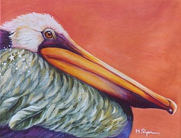 Sunset Pelican - Pelican by Maria Ryan