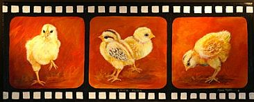 CHICK  FLICK - Chicks by Maria Ryan