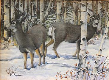 Aspen Encounter - Mule Deer - Mule Deer in the snowy aspens by Maria Ryan