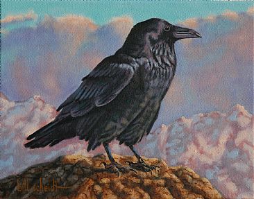 Raven Haven - Raven by Bill Scheidt