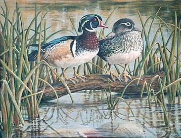 Fowl Play - Birds - Waterfowl by Kay Polito