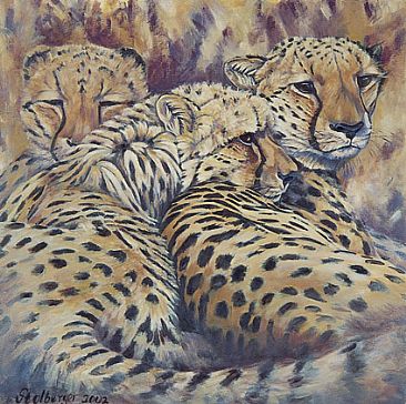 Cheetah Moods - Cheetahs by Sue Stolberger