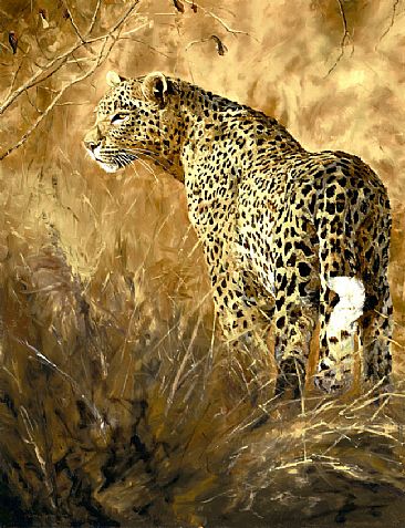Leopard's Light (SOLD) - Leopard by Linda Besse