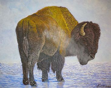 On Frozen Ground - Bison by Craig Lomas