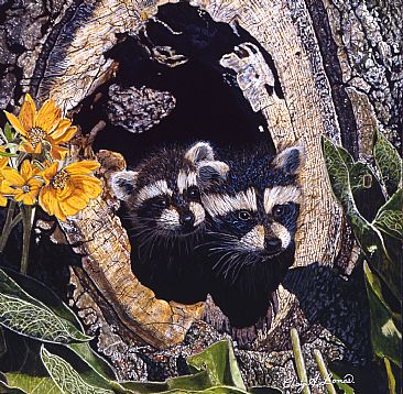 The Young Rascals - Racoons by Craig Lomas