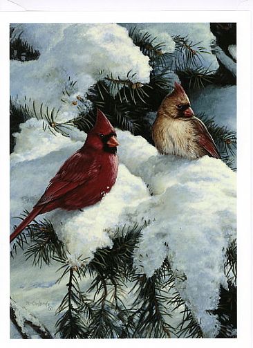A New Day - Cardinals by Ron Orlando