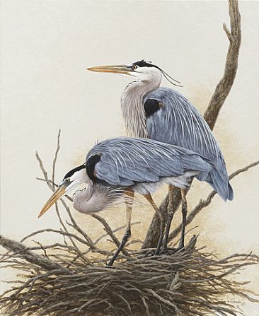 She Has the Last Say - Great Blue Heron by Ron Orlando