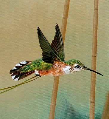 Inherited Memory - detail hummingbird - female rufous hummingbird by Linda Herzog