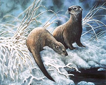 Winter Playmates - River Otters by Michelle Mara