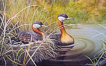 Red-necked Grebes -  by Michelle Mara