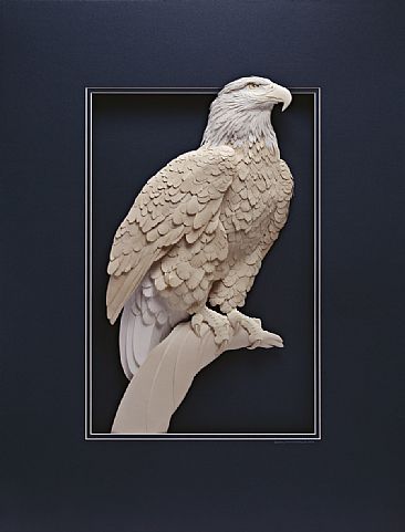 regal eagle - bald eagle by Calvin Nicholls
