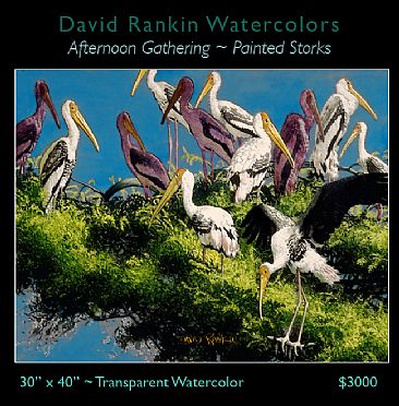 Afternoon Gathering - Painted Storks gathering in the top of an Acacia Tree by David Rankin