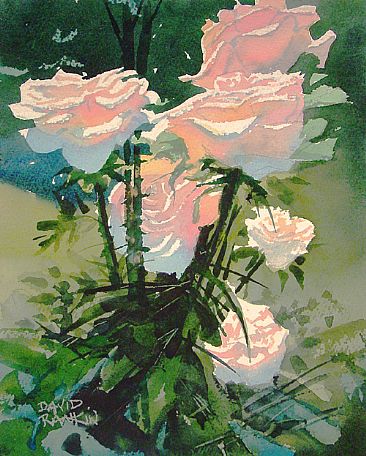 Peace Roses - Roses in morning light by David Rankin