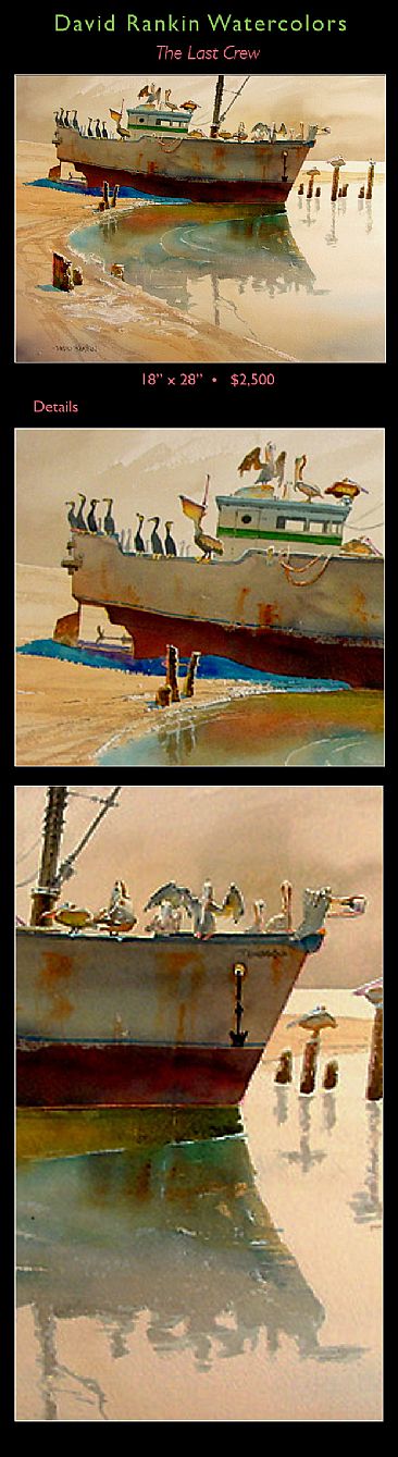 The Last Crew - Pelicans & Cormorants on old ship. by David Rankin
