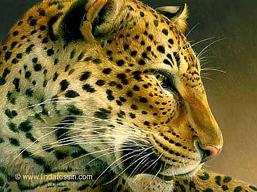 A Leopard to Linger On / Canvas Giclée - African Leopard by Linda Rossin