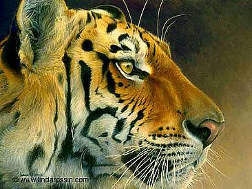 A Tiger to Touch / Paper Giclée - Bengal Tiger by Linda Rossin