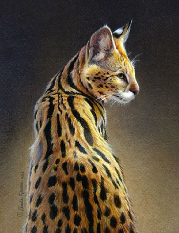 Benji / Miniature (Commission) - Serval by Linda Rossin