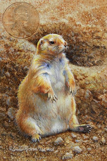 I'm Not Fat, I'm Fluffy (Sold) - Prairie Dog by Linda Rossin