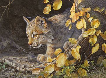 Mischief Musings (Sold) - Lynx Kitten by Linda Rossin