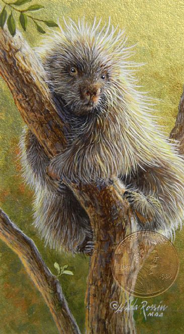 Prickly Tree Hugger (Sold) - Porcupine by Linda Rossin