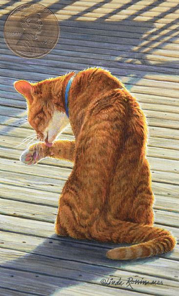 Purfection (Sold) - Domestic Feline by Linda Rossin