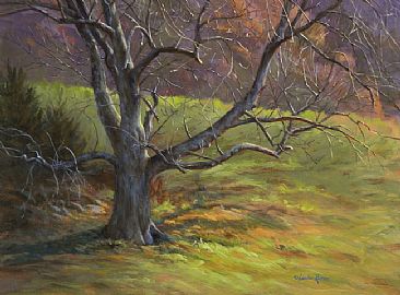 Spooky Tree at Marksboro Meadows -  by Linda Rossin
