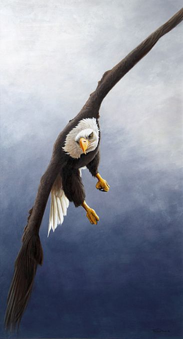 Coming in - Bald Eagle by Jeremy Paul