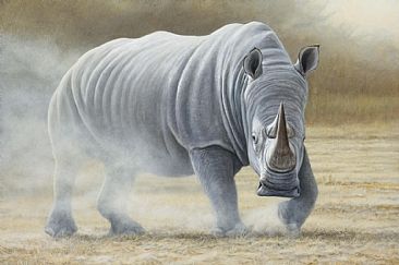 Raising the Dust - white rhino by Jeremy Paul