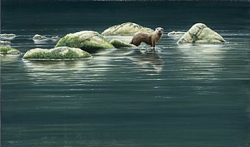 Islands - Otter by Jeremy Paul