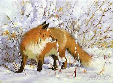 Fox in Snow -  by Guy Coheleach