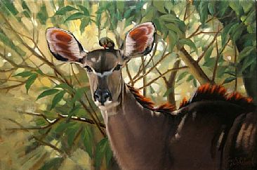 Kudu - Kudu , Red-billed Oxpecker by Guy Coheleach