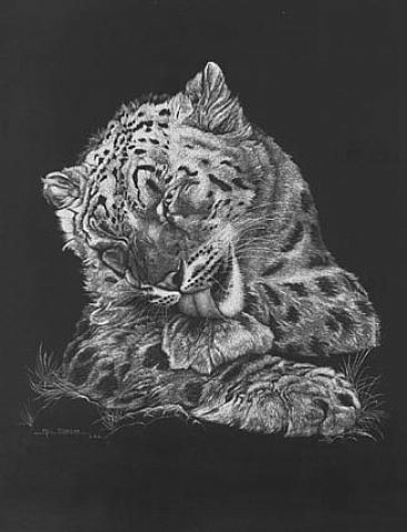 Snow Leopard -  by Mel Dobson
