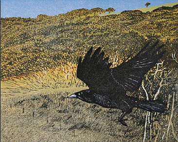 Wilder Ranch - raven by Andrea Rich
